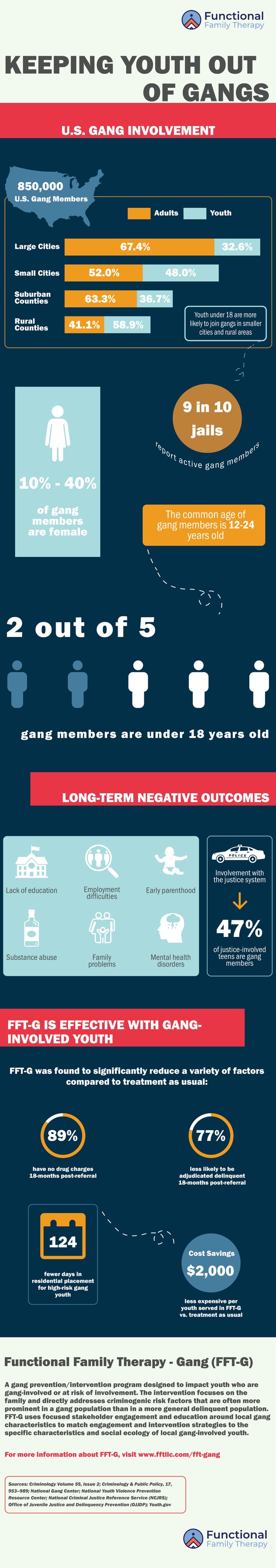 Youth Gang Involvement Infographic